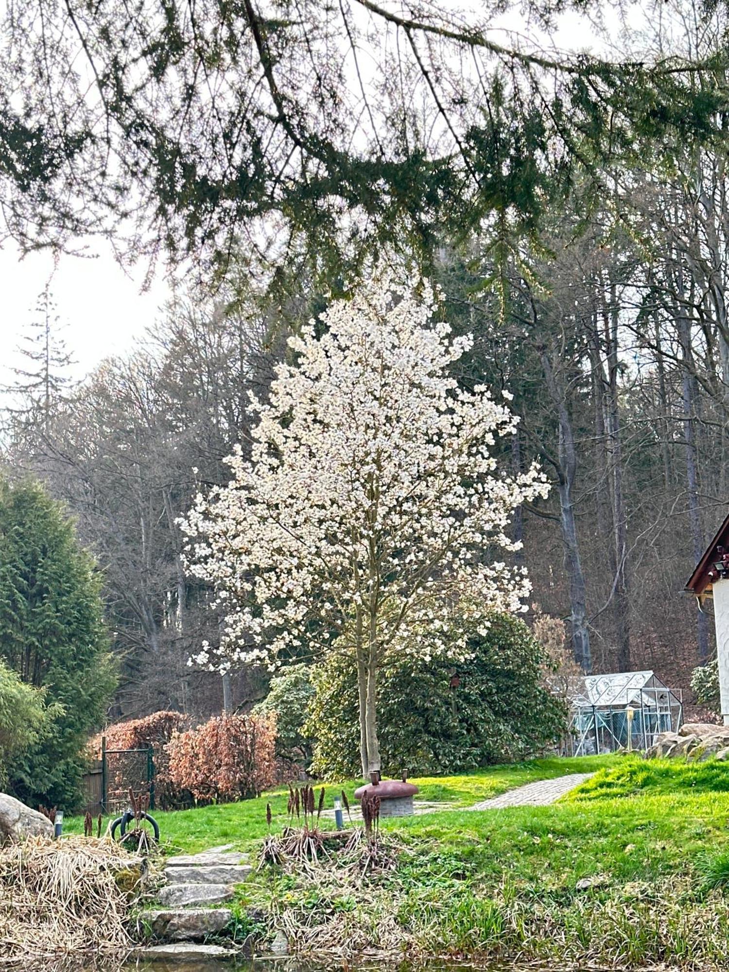 Ferienhaus Jägerhaus Oppach Privathaus Exterior foto