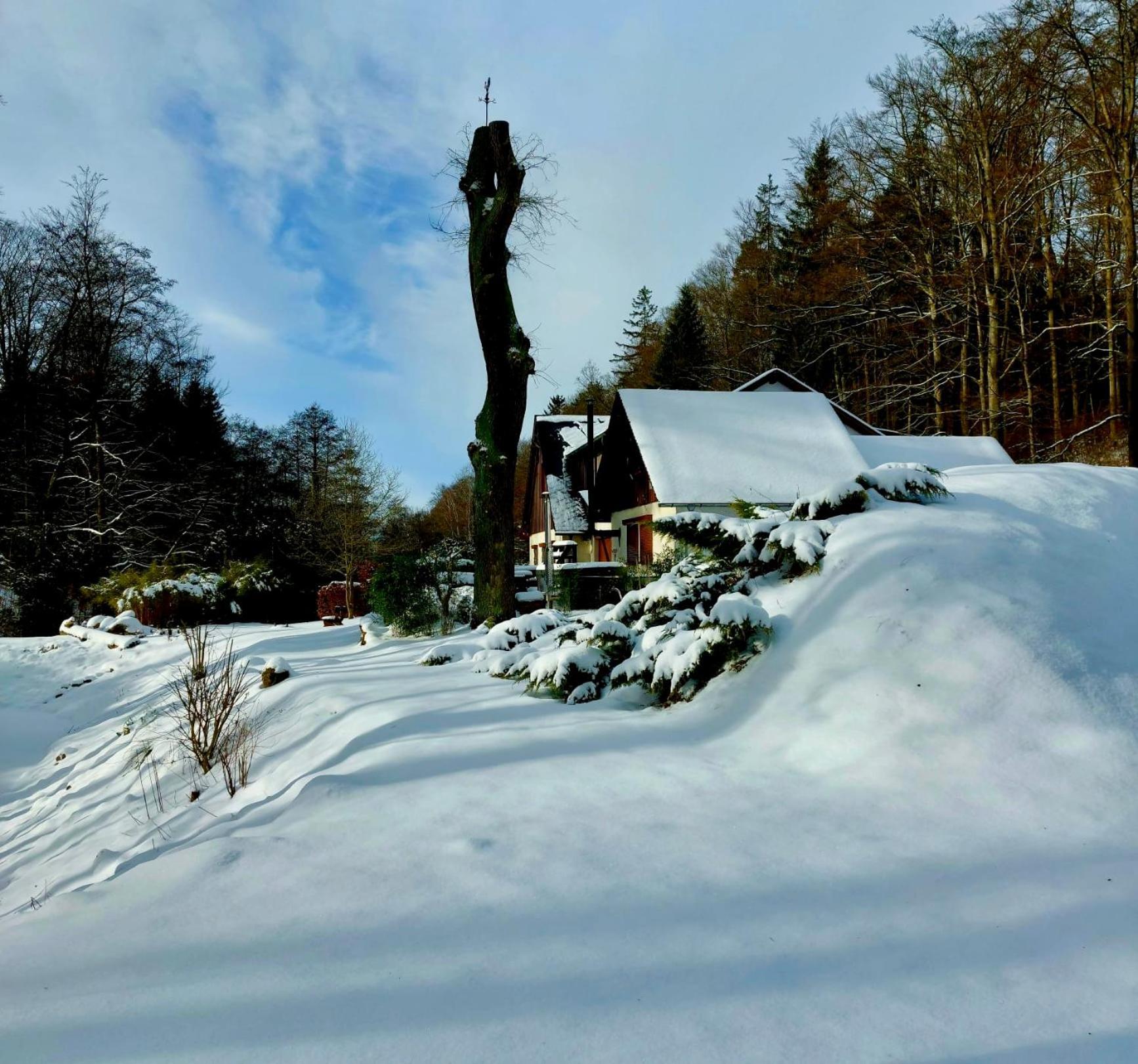 Ferienhaus Jägerhaus Oppach Privathaus Exterior foto